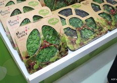 Micro leaves from 2Bfresh